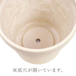 かご ベース とりよせ品 SPエコポットS 直...の詳細画像1
