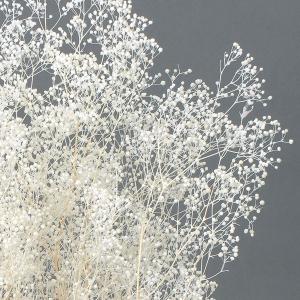 プリザーブドフラワー 花材 即日出荷 ミニカス...の詳細画像1