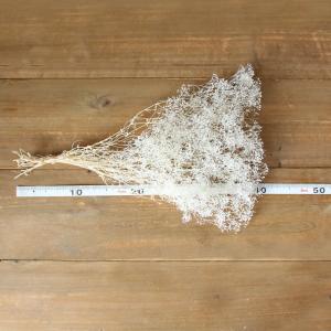 プリザーブドフラワー 花材 即日出荷 ミニカス...の詳細画像3