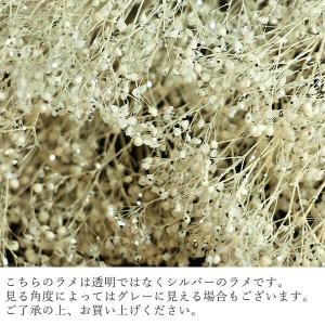 プリザーブドフラワー 花材 即日出荷 ミニカス...の詳細画像2