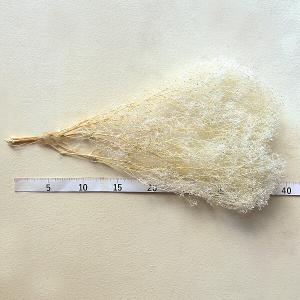 プリザーブドフラワー 花材 即日出荷 ミニカス...の詳細画像3