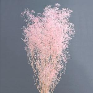 プリザーブドフラワー 花材 即日出荷 スーパーソフトミニカスミ草