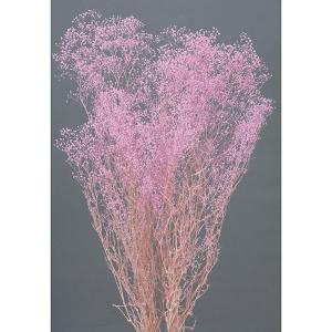 プリザーブドフラワー 花材 即日出荷 ソフトあじさいアナベル