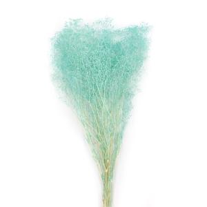 プリザーブドフラワー 花材 即日出荷 ミニカスミ草 ブルー かすみ カスミ カスミ草 かすみ草 プリザーブドフラワー スワッグ ブーケ 花束 リース 大地農園