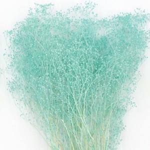 プリザーブドフラワー 花材 即日出荷 ミニカス...の詳細画像1