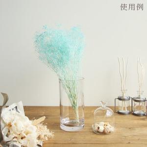 プリザーブドフラワー 花材 即日出荷 ミニカス...の詳細画像2