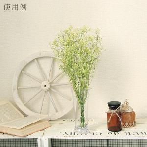 プリザーブドフラワー 花材 即日出荷 ミニカス...の詳細画像4