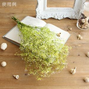 プリザーブドフラワー 花材 即日出荷 ミニカス...の詳細画像5