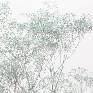 プリザーブドフラワー 花材 即日出荷 スーパー...の詳細画像1