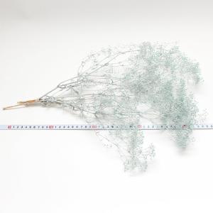 プリザーブドフラワー 花材 即日出荷 スーパー...の詳細画像2