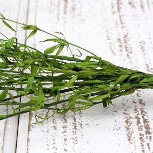 プリザーブドフラワー 花材 即日出荷 スーパー...の詳細画像2