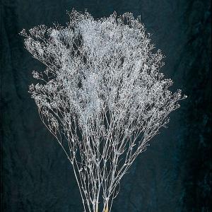 プリザーブドフラワー 花材 即日出荷 スーパーソフトミニカスミ草 シルバー かすみ カスミ カスミ草 かすみ草 プリザーブドフラワー スワッグ 花 大地農園