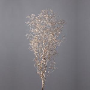 プリザーブドフラワー 花材 即日出荷 スーパーソフトミニカスミ草 プラチナ 〇 かすみ カスミ カスミ草 かすみ草 プリザーブドフラワー スワッグ 大地農園