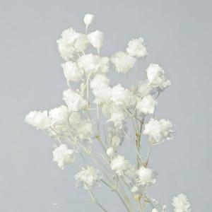 プリザーブドフラワー 花材 即日出荷 カスミ草...の詳細画像1
