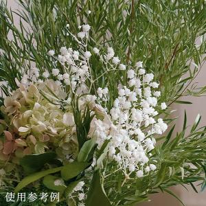 プリザーブドフラワー 花材 即日出荷 カスミ草...の詳細画像4