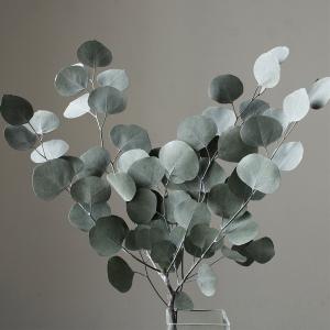 プリザーブドフラワー 花材 即日出荷 ポプルス パウダーグレー 花材 素材 材料 パーツ ユーカリ 葉 ポポラス リーフ グレー ドライフラワー 花束 大地農園