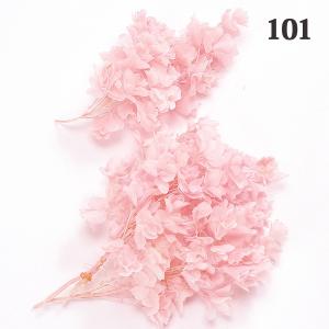 日限定10 プリザーブド 大地農園 ペッパーベリー 5色ミックス はなどん