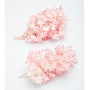 訳あり花材❁﻿訳ありプリザーブドフラワー❁﻿訳ありピンク花材 アイリスパープル花材セット 1ケース 手芸クラフト ハーバリウム