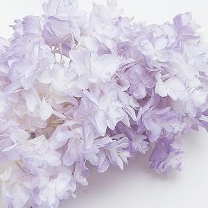 プリザーブドフラワー 花材 即日出荷 カシワバ...の詳細画像1