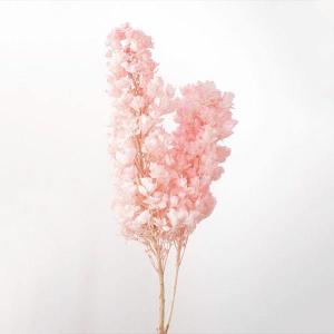 プリザーブドフラワー 花材 即日出荷 ピラミッドアジサイ・ヘッド