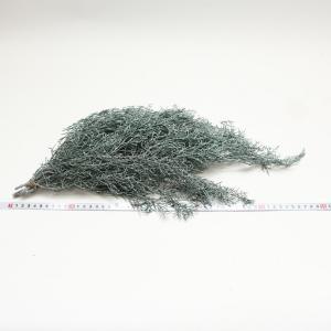 プリザーブドフラワー 花材 即日出荷 ブルーア...の詳細画像3