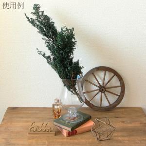 プリザーブドフラワー 花材 即日出荷 ヒムロス...の詳細画像4