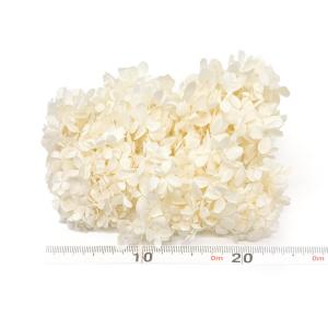 プリザーブドフラワー 花材 即日出荷 ピラミッ...の詳細画像2