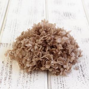 プリザーブドフラワー 花材 即日出荷 ピラミッドアジサイ・ヘッド シャンパン アジサイ あじさい 紫陽花 花びら プリザーブドフラワー スワッグ 大地農園