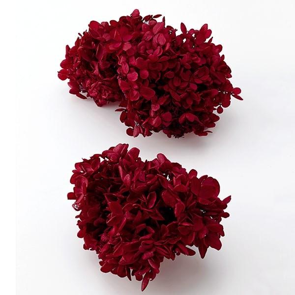 プリザーブドフラワー 花材 即日出荷 ピラミッドアジサイ・ヘッド ワインレッド アジサイ あじさい ...