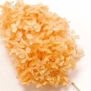 プリザーブドフラワー 花材 即日出荷 ピラミッドアジサイ・ヘッド ジュリアオレンジ アジサイ あじさい 紫陽花 花びら プリザーブドフラワー DIY 大地農園