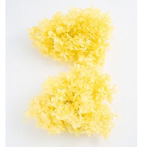 正月 装飾 とりよせ品 竹3本組 グリーン 竹 竹飾り バンブー 新春 迎春