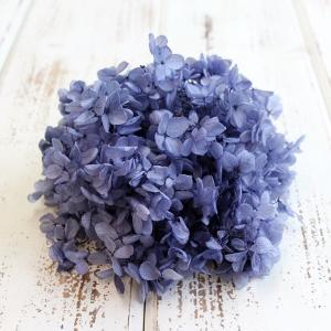 プリザーブドフラワー 花材 即日出荷 ピラミッドアジサイ・ヘッド ロイヤルブルー アジサイ あじさい 紫陽花 花びら プリザーブドフラワー 花束 大地農園