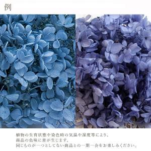 プリザーブドフラワー 花材 即日出荷 ピラミッ...の詳細画像2