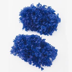 プリザーブドフラワー 花材 即日出荷 ピラミッド...の商品画像