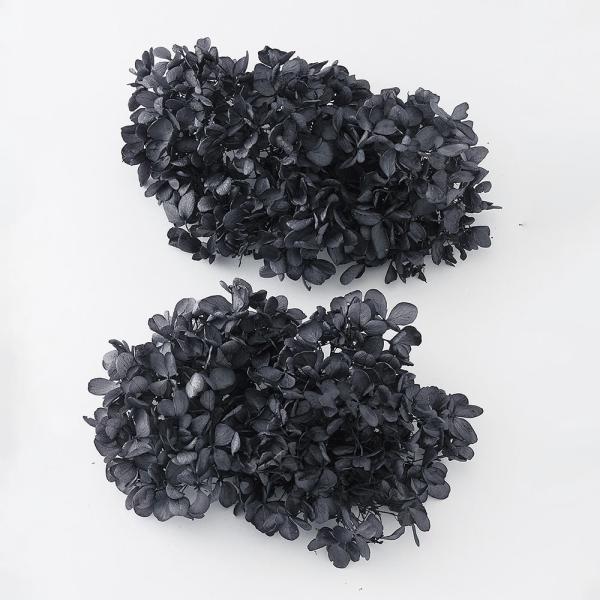 プリザーブドフラワー 花材 即日出荷 ソフトピラミッドアジサイ・ヘッド 黒 アジサイ あじさい 紫陽...