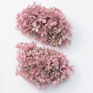 プリザーブド 大地農園 ピラミッドアジサイ ヘッド 約2輪ピンクライム