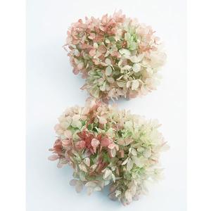 プリザーブドフラワー 花材 即日出荷 ピラミッド...の商品画像