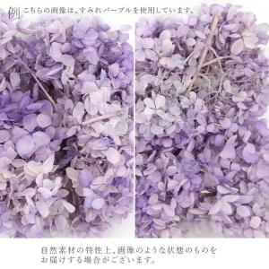 プリザーブドフラワー 花材 即日出荷 ピラミッ...の詳細画像2