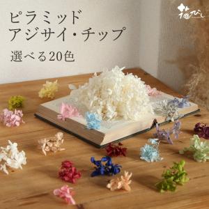 《プリザーブドフラワー 花材》★即日出荷★大地農園 ピラミッドアジサイ チップ 訳あり ワケあり 小分け 小さい アジサイ あじさい 紫陽花 レジン｜y-hanabishi