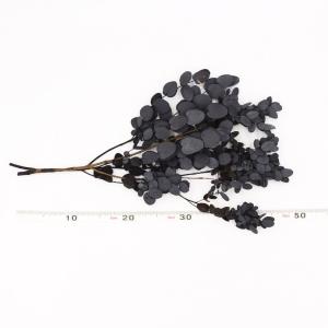 プリザーブドフラワー 花材 即日出荷 ユーカリ...の詳細画像2