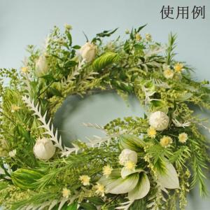 プリザーブドフラワー 花材 即日出荷 ストーベ...の詳細画像2