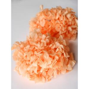 プリザーブドフラワー 花材 即日出荷 ゆめアジサイ・ヘッド ジュリアオレンジ 花材 素材 材料 パーツ アジサイ あじさい オレンジ 紫陽花 花びら 大地農園