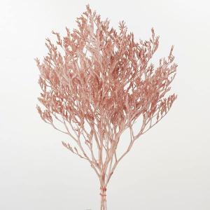 プリザーブドフラワー 花材 即日出荷 【45%O...の商品画像