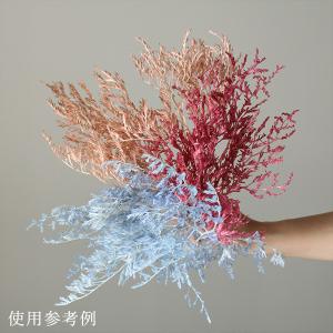 プリザーブドフラワー 花材 即日出荷 【45%...の詳細画像4