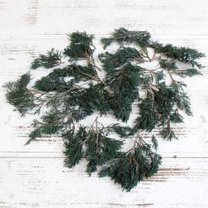 プリザーブドフラワー 花材 即日出荷 マウンテ...の詳細画像1