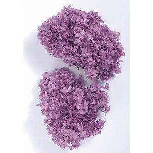 プリザーブドフラワー 花材 即日出荷 アナベル・ヘッド パープル アジサイ あじさい 紫陽花 花びら プリザーブドフラワー スワッグ ブーケ 花束 大地農園