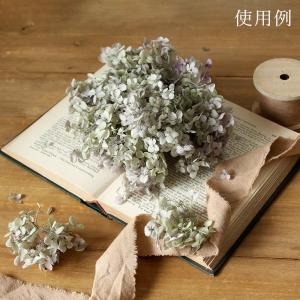 プリザーブドフラワー 花材 即日出荷 アナベル...の詳細画像3