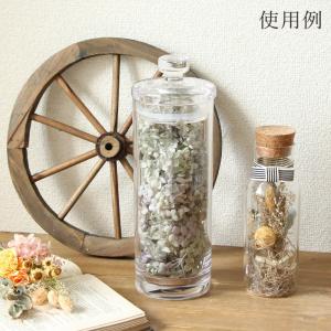 プリザーブドフラワー 花材 即日出荷 アナベル...の詳細画像4