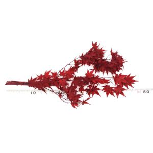 プリザーブドフラワー 花材 即日出荷 もみじ・...の詳細画像2