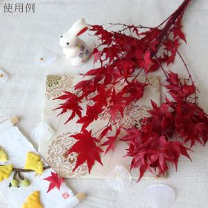プリザーブドフラワー 花材 即日出荷 もみじ・...の詳細画像4
